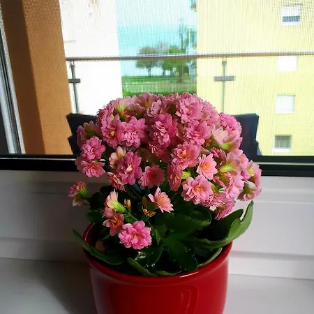 Sunset Διαμέρισμα